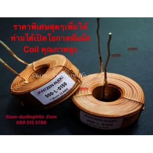 สินค้าราคาพิเศษสุดๆ  Litz Wire Wax Coil 15awg