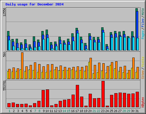 Daily usage for December 2024