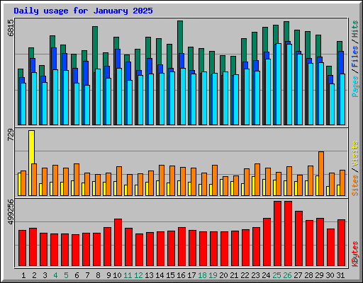 Daily usage for January 2025