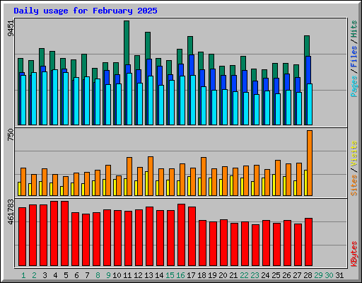 Daily usage for February 2025