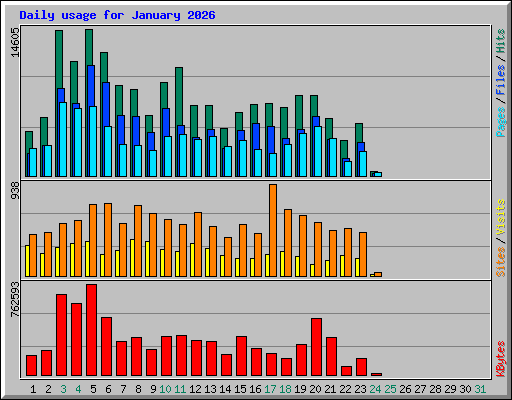 Daily usage for January 2026