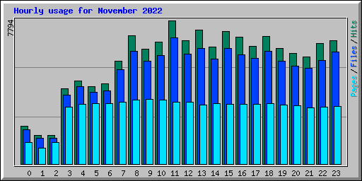 Hourly usage for November 2022