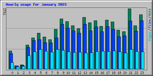 Hourly usage for January 2023