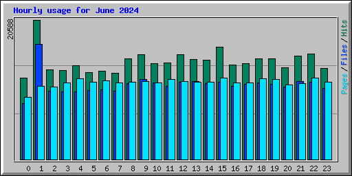 Hourly usage for June 2024