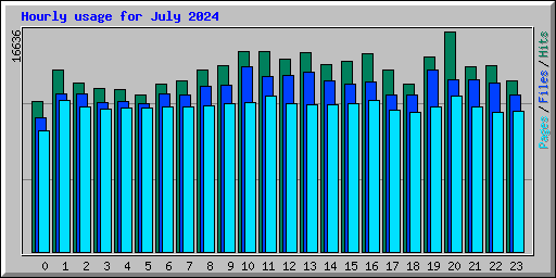 Hourly usage for July 2024