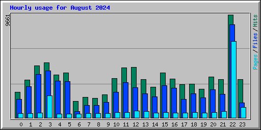 Hourly usage for August 2024