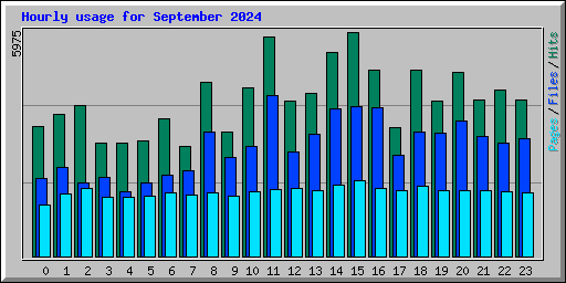 Hourly usage for September 2024