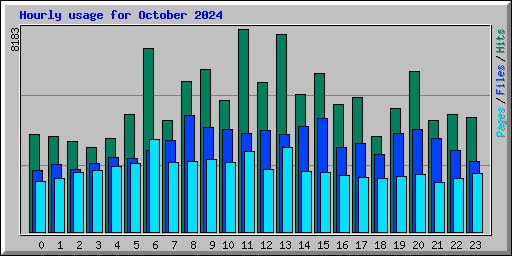 Hourly usage for October 2024