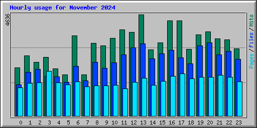 Hourly usage for November 2024