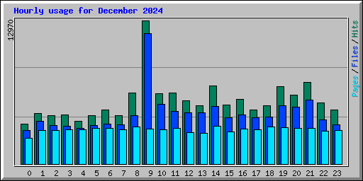 Hourly usage for December 2024