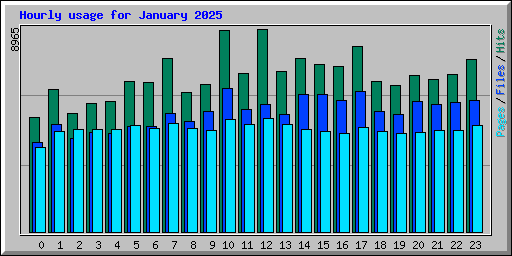 Hourly usage for January 2025