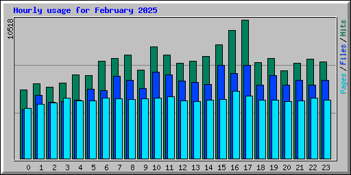 Hourly usage for February 2025