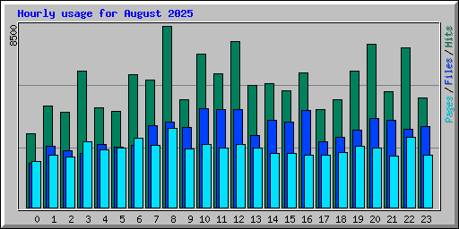 Hourly usage for August 2025