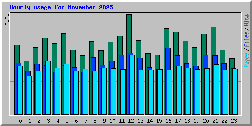 Hourly usage for November 2025