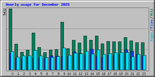 Hourly usage for December 2025