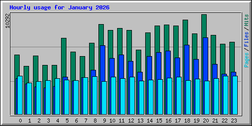 Hourly usage for January 2026