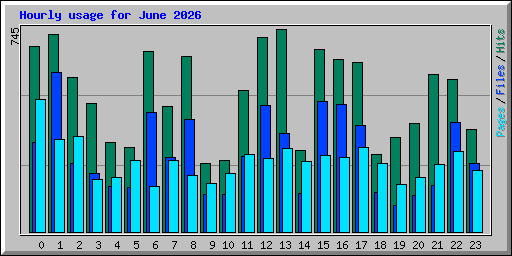 Hourly usage for June 2026