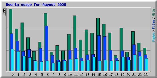 Hourly usage for August 2026